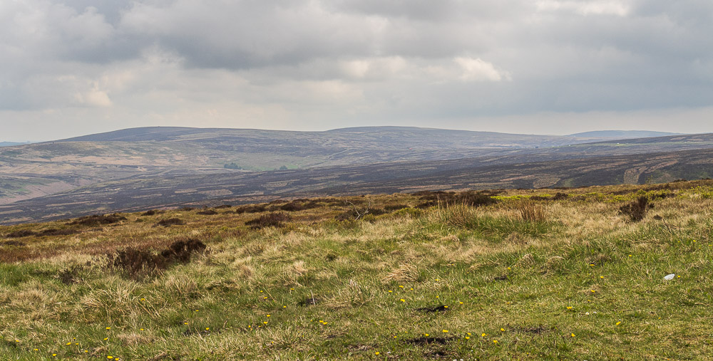 Axe Edge Moor